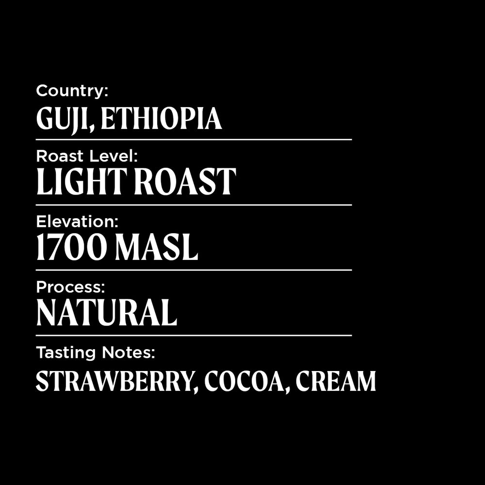 Ethiopia Guji Single Origin