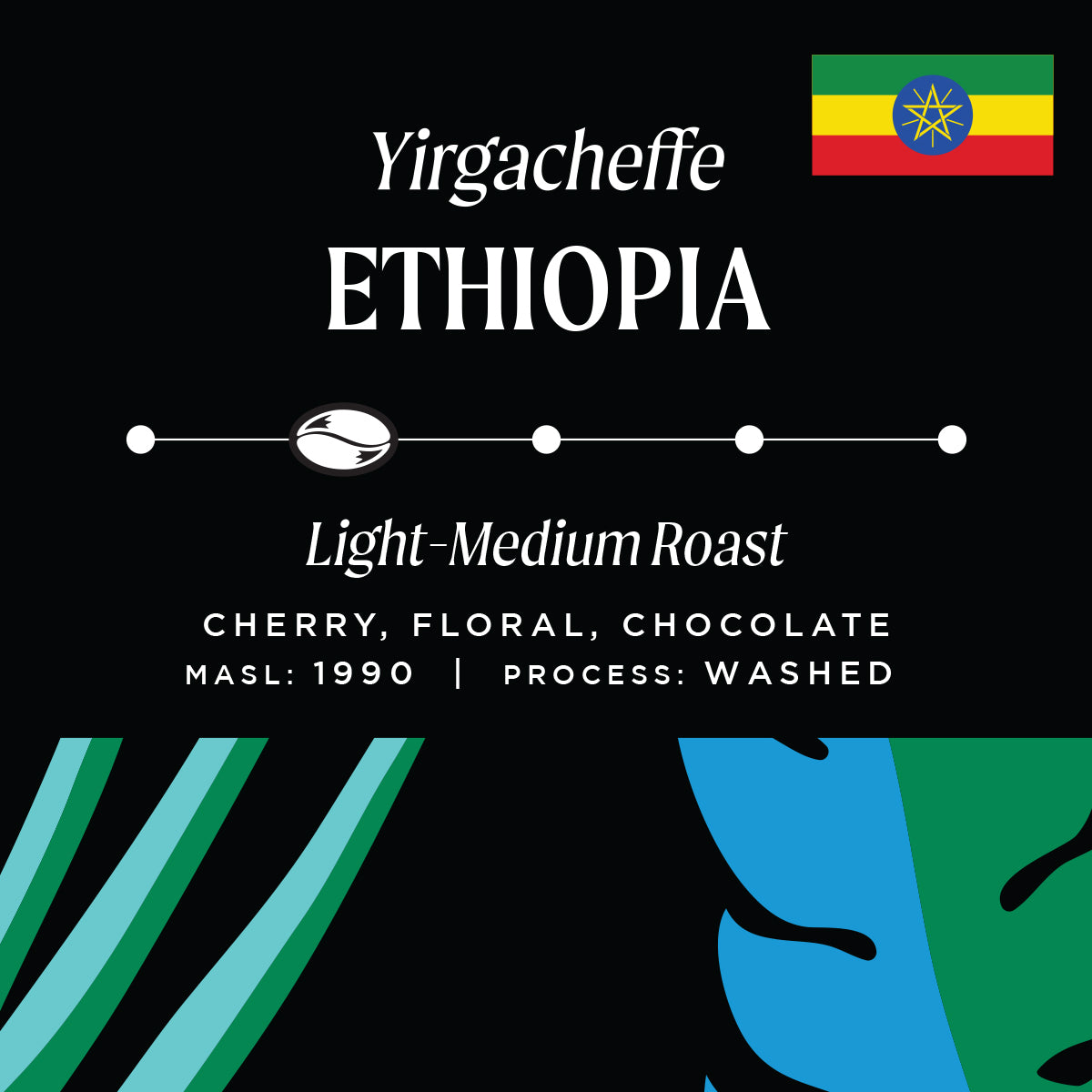 Ethiopia Yirgacheffe Single Origin