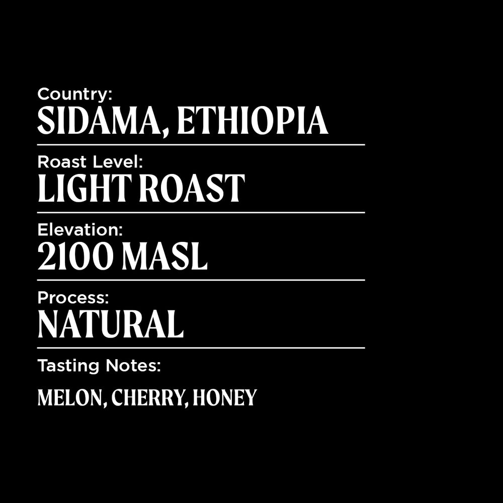 Ethiopia Sidama Single Origin